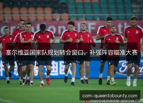 塞尔维亚国家队规划转会窗口，补强阵容瞄准大赛